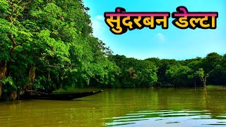 सुंदरबन डेल्टा के बारे में रोचक जानकारी  Sundarban delta ke bare mein jankari  Sundarban jungle [upl. by Llewol]