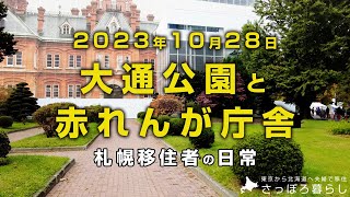 今日も元気に雪虫が飛んでいます｜札幌移住者の日常 [upl. by Resiak]