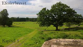 Efesierbrevet  Reformationsbibeln  NT  Bibeln  Bibel  Ljudbok  ljudbibel [upl. by Hsiekal]