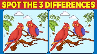 Find amp Spot the Difference Little Hard Level test you eyes now [upl. by Sej]