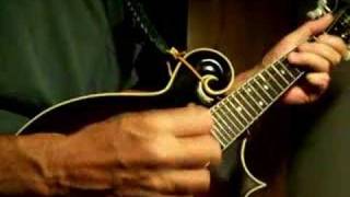 DeArmond Mandolin Pickup Demo [upl. by Enyamart]