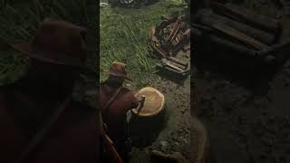 Hatchet location rdr2 rdr2 [upl. by Liemaj75]