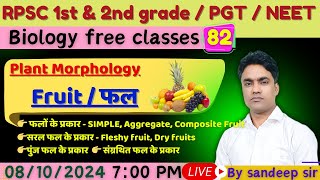 Fruit फल  Types of fruit फलो के प्रकार  RPSC 1st grade  RPSC 2nd grade  PGT [upl. by Flor]