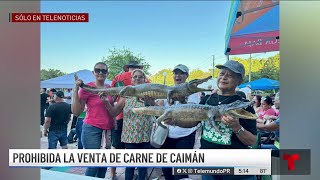 En alerta el Departamento de Salud por venta de carne de caimán [upl. by Nyliret]