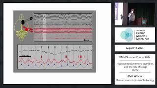 Hippocampal memory cognition and the role of sleep  part 2 [upl. by Narda]