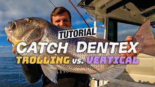 The Dentex Tutorial  How to catch Dentex Trolling vs Vertical [upl. by Aerdma]