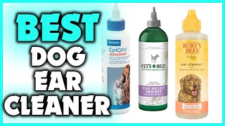 5 Best Dog Ear Cleaner in 2022 [upl. by Eibreh]