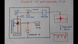 Spettrofotometro FTIR Valentina Domenici [upl. by Alletse496]