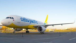 A320 Landing  Taxi At Iloilo Int Airport [upl. by Trebuh945]