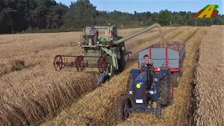 Giganten der Vergangenheit  Claas Matador Gigant Mähdrescher und Lanz Bulldog Getreideernte [upl. by Stefan997]