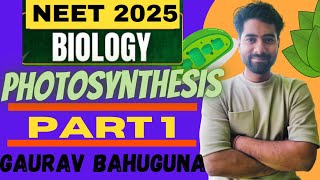 Photosynthesis in higher plants  Part 1  NCERT class 11th Biology [upl. by Adair]