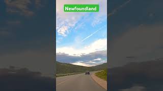 Drive from Tablelands to Berry Hill Campground  Newfoundland foryou travel vlog shorts ytshort [upl. by Heim]