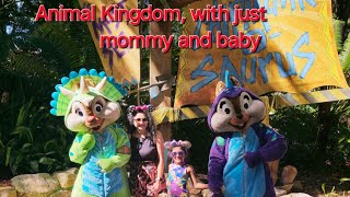 Day 4 of Disney Animal Kingdom 😁 indianyoutuber desimominamerica disneyland animalkingdom [upl. by Enala966]