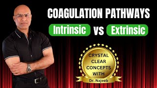 Intrinsic and Extrinsic Pathway of Coagulation  Hematology👨‍⚕️ [upl. by Ehrsam]