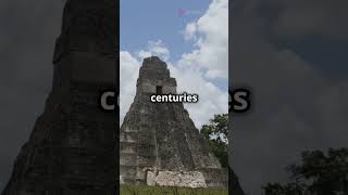 quotUncovering Tikal The Lost City of the Mayaquot facts funfacts travel historyfacts [upl. by Irita852]