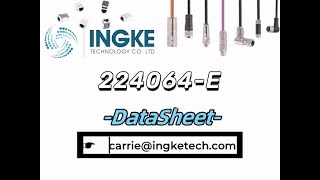 224064E DataSheet  ingketechnet [upl. by Yelsha]