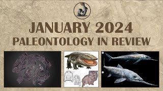 January 2024 Paleontology in Review [upl. by Nywrad]