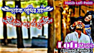 চাতক পাখির মত মনটা করে নয় ছয়  Chatok Pakir Moto Monta Kore Noi Soi  Slowed Reverb Lofi Music [upl. by Lebaron]