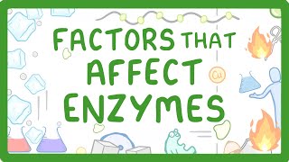 GCSE Biology  Enzymes  How Temperature and pH Affect Rate of Reaction [upl. by Einnos]