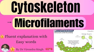 Cytoskeleton Structure and Function  Microfilaments  For BSc 1 sem MSc 2 Sem  NET  CSIR etc [upl. by Yraunaj]