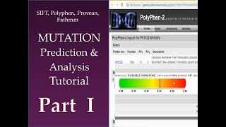 Mutational Prediction amp Analysis Tutorial PART 1 [upl. by Ganiats]