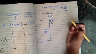 Anti Arrhythmics Drugs part 1 Anti Arrhythmia s cvspharma [upl. by Eseyt]