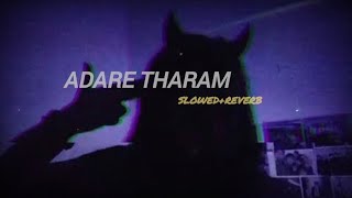 Adare Tharam slowedreverb [upl. by Stein8]