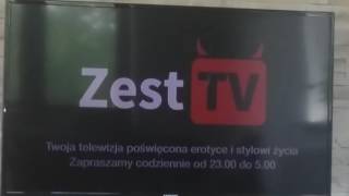 Zest TV1 [upl. by Williamsen]