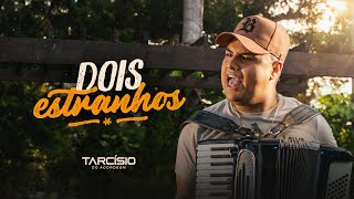 DOIS ESTRANHOS  Tarcísio do Acordeon Clipe Oficial [upl. by Brooking]