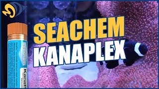 SeaChem KanaPlex Fungal and Bacterial Treatment What YOU Need to Know [upl. by Armstrong]