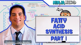 Metabolism  Fatty Acid Synthesis Part 1 [upl. by Louls]