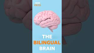 How bilingualism boosts your brain  BBC Ideas [upl. by Goody]