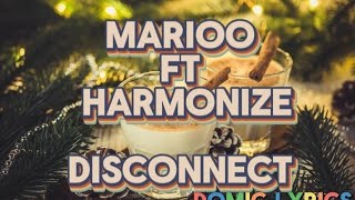 Marioo ft harmonize  Disconnect lyric [upl. by Demmahum276]