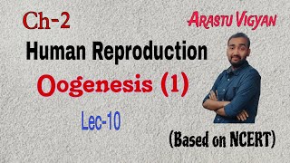 Oogenesis 1  Human Reproduction Ch2 biologyclass12 cbse ncert biharboard [upl. by Terris]