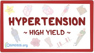 Hypertension  pathology review  osmosis  pathophysiology of Hypertension  Hypertension [upl. by Dnomasor310]