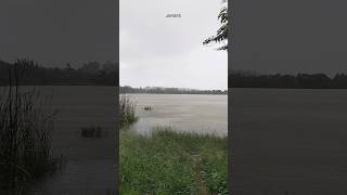 Byadarahalli Lake 🌧️  JAY007Vlogs lake rainy travel shorts tour weather [upl. by Capone]