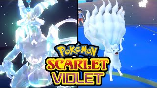 KyuremW Blizzard HURTS Pokemon ScarletViolet VGC Rental Team [upl. by Bierman]