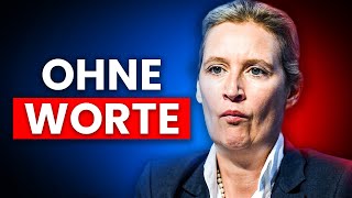 Jetzt geht es der AfD an den Kragen [upl. by Erland]