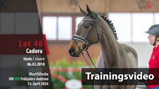 OnLive FrühjahrsAuktion Training Lot 40 Cadora Stute v Catch  Quintender [upl. by Tenenbaum]