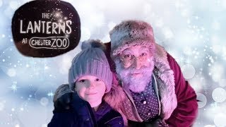 Christmas Lanterns At Chester Zoo  Family Vlog [upl. by Doralynne]