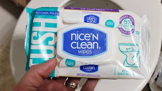 Quick Review Nice N Clean Wipes  Really Flushable [upl. by Yrakaz260]