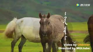 Goe Mongol Duu Beautiful Mongolian Song Ai Barhan Nutag Mini [upl. by Barger]