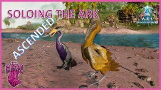 Taming Ichthyornis and Hesperornis Soloing ARK Ascended Ep 72 [upl. by Lebar]