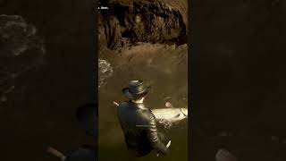 RDR2  Fishing A Big Fish With A Knife In RDR2 shorts gaming [upl. by Aicia640]