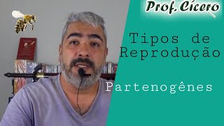 Partenogênese  Tipos de Reprodução [upl. by Sternlight380]