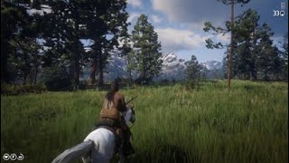 Red Dead Redemption 2 Horse Hunting No Dead eye [upl. by Gilboa]