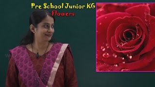 Let’s Learn About Flowers  Learn Flowers For Kids  Pre School Junior  Flowers Song [upl. by Huang]