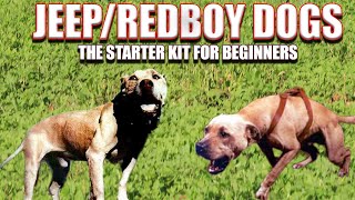 Jeep Redboy The Starter Kit Of Pit Bulls [upl. by Asilrahc]