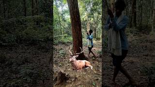 Real deer🦌seen amp😱catching a jangli man deer viralvideo vfx viewsshortstrendingshortswildlife [upl. by Ahsercal]