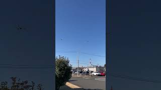 Pair of US Navy SH60 Seahawk Helicopter flying around US Naval Air Facility Atsugi 17 Jan 2024 [upl. by Marjie]